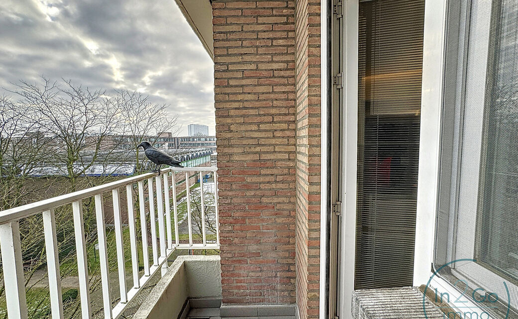 Appartement te koop in Leuven