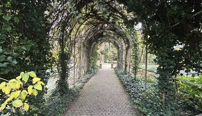 Restaurant / zalen te koop in Bierbeek